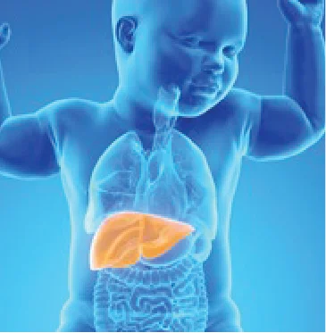 Liver Cancer in children and its treatment